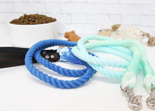 Rope Leash-Ombre Leather Handle